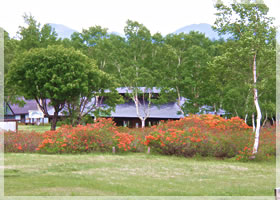 �����q��