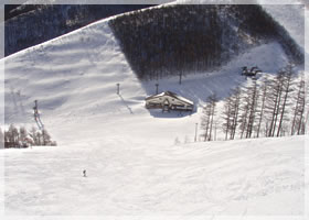 �X�m�[�p���E�I�O�i�ق����X�L�[��