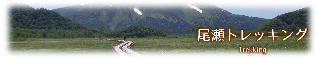 �������������E�S���R�g���b�L���O