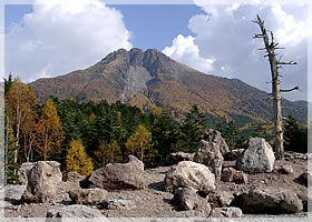 ���������R